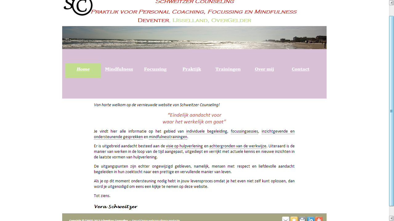 [screenshot www.schweitzercounseling.nl, 2013-]